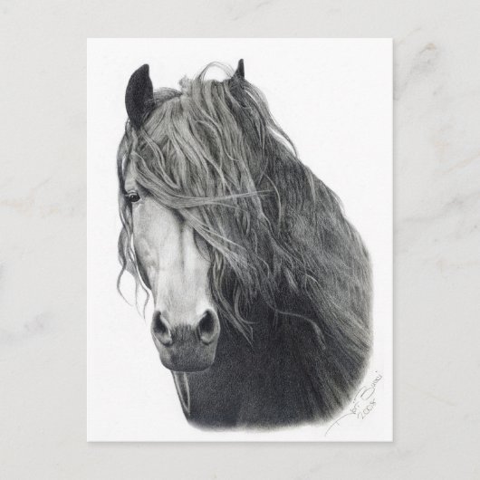 Feuer Postkarte (Vorderseite)