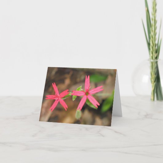 Feuer-Rosa - Customized2 Karte (Vorderseite)