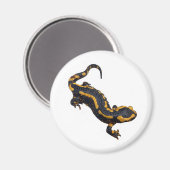 Feuer Salamander Magnet (Vorderseite/Rückseite)