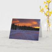 Feuer u. Eis durch Doug Bennett Karte (Gelbe Blume)