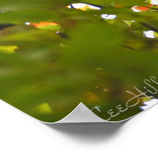 Feuer über den grünen Herbstblättern Poster (Ecke)