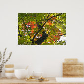 Feuer über den grünen Herbstblättern Poster (Küche)