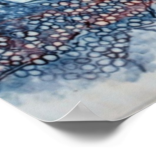 Feuer und Eis über China Poster (Ecke)