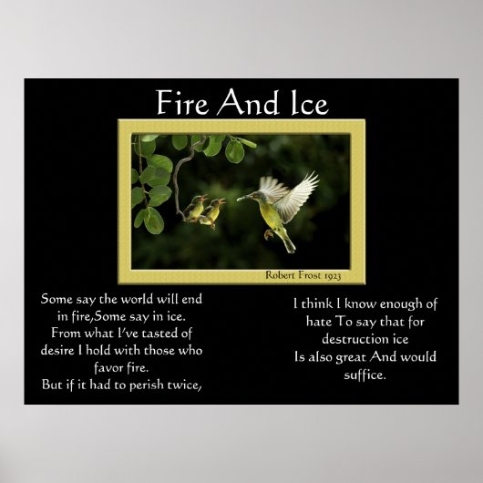 Feuer- und Eisposter Poster (Vorne)