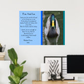 Feuer- und Eisstockente in Wasserplakaten Poster (Heimbüro)