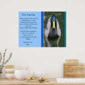 Feuer- und Eisstockente in Wasserplakaten Poster (Küche)