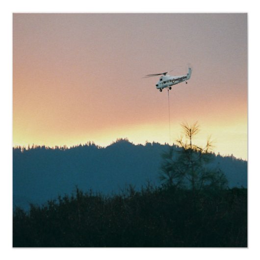 Feuer von 2007... poster (Vorderseite)