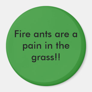 Feuerameisen sind Schmerz im Gras!! Magnet