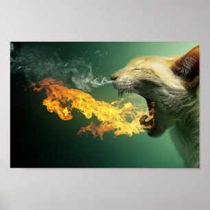 Feueratmer Katzenposter Poster