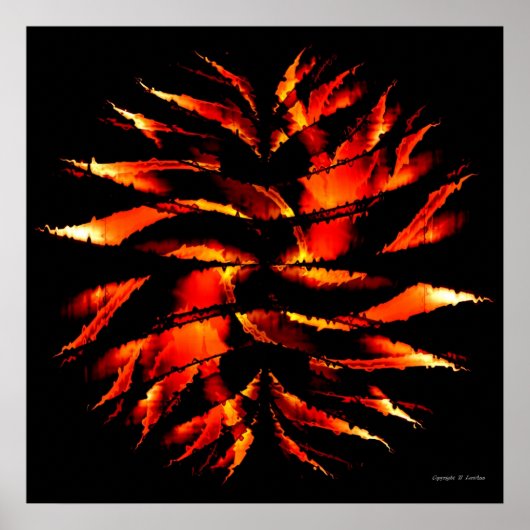 Feuerball Poster (Vorne)