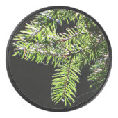 Feuerbaum Eishockey Puck (Vorderseite)