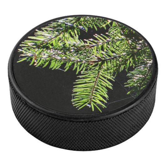Feuerbaum Eishockey Puck (3/4)