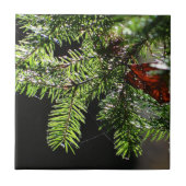 Feuerbaum Fliese (Vorderseite)