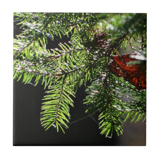 Feuerbaum Fliese (Vorderseite)