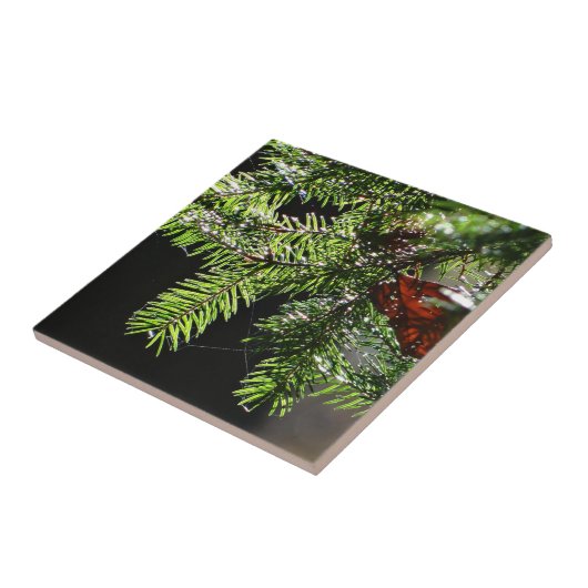 Feuerbaum Fliese (Seite)