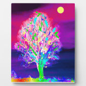 Feuerbaum Fotoplatte (Vorderseite)