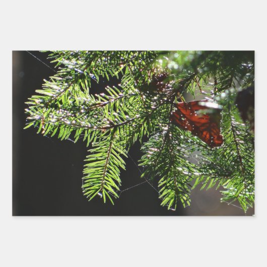 Feuerbaum Geschenkpapier Set (Vorderseite 2)