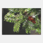 Feuerbaum Geschenkpapier Set (Vorderseite)