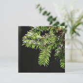 Feuerbaum Karte (Stehend Vorderseite)