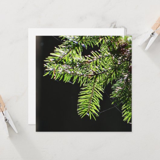 Feuerbaum Karte (Vorderseite/Rückseite Beispiel)