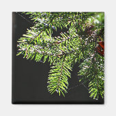 Feuerbaum Magnet (Vorne)