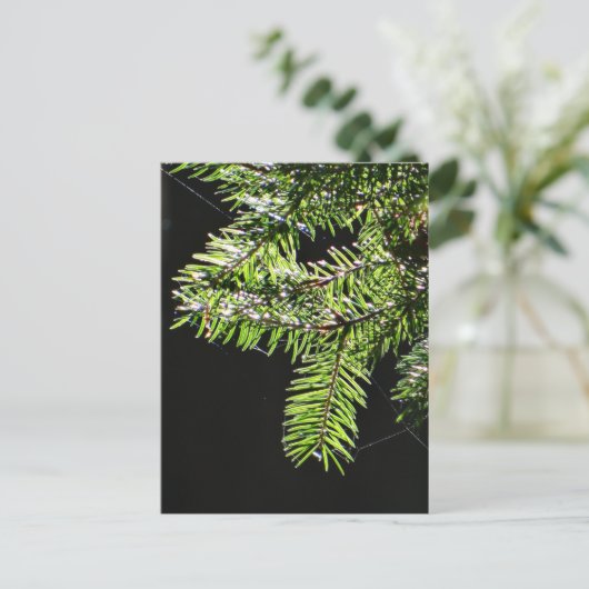 Feuerbaum Postkarte (Stehend Vorderseite)