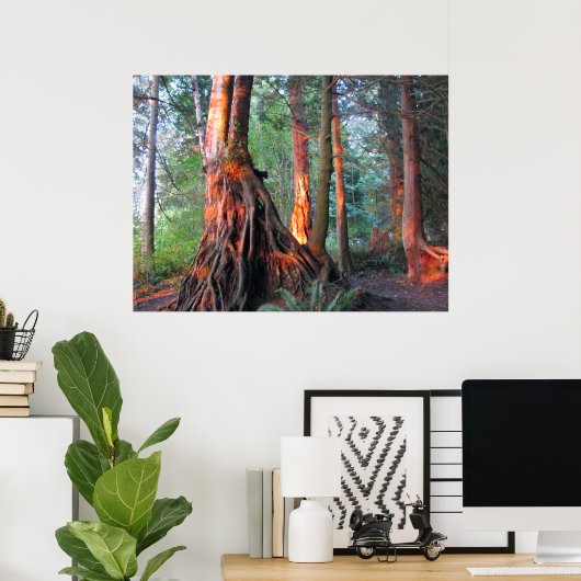 Feuerbaume Poster (Heimbüro)