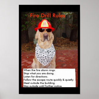 Feuerbohrer Poster