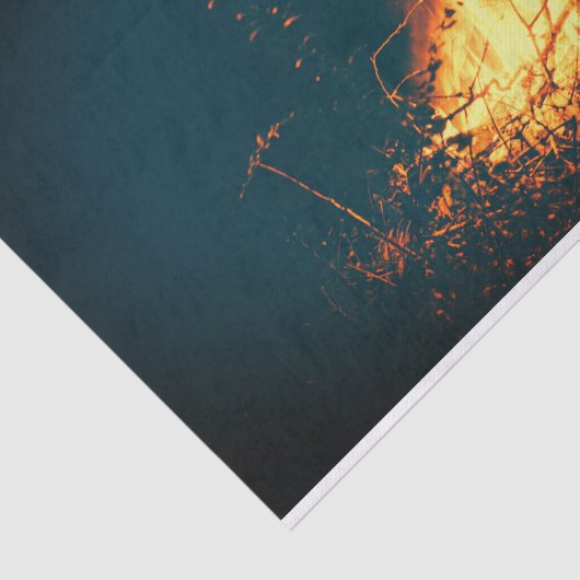 Feuerbrand Seidenpapier (Ausschnitt)