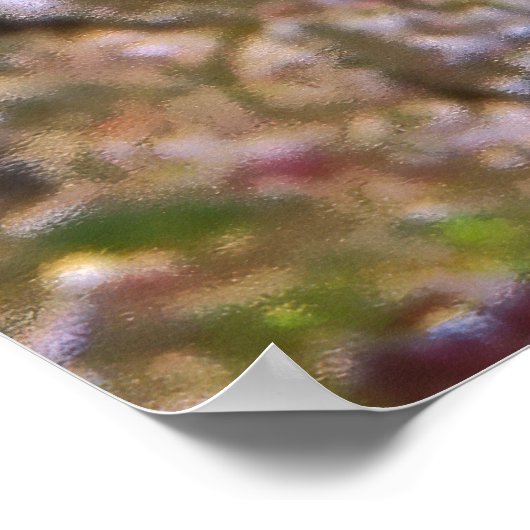 Feuerdartfish-Portrait Poster (Ecke)