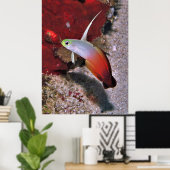 Feuerdartfish-Portrait Poster (Heimbüro)