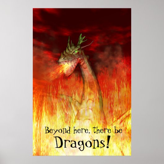 Feuerdrache Poster (Vorne)