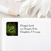 Feuerdrachenbriefe (Insitu)