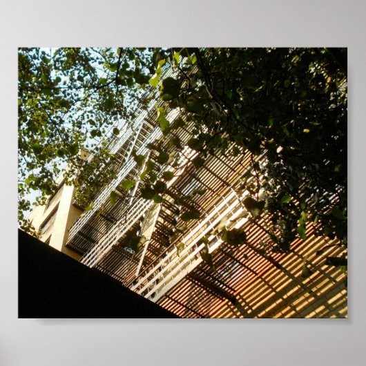 Feuerflüchte in Schatten und Sonne Poster (Vorne)