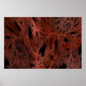 Feuergeflecht Poster (Vorne)