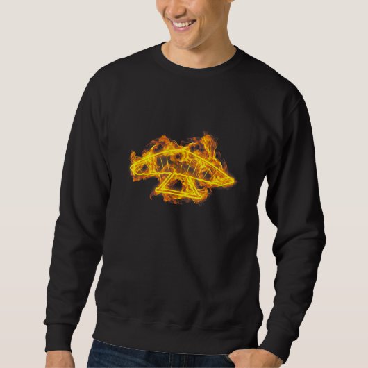 Feuerhang Glider Wind Sail Flammen Hang Gliding Gl Sweatshirt (Vorderseite)