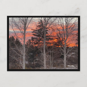 Feuerhimmel durch Winterbäume Postkarte