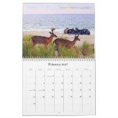 Feuerinsel 2026 Ein 18-monatiger Kalender (Feb 2027)