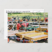 FEUERINSEL, NY WAGON POSTCARD POSTKARTE (Vorne/Hinten)