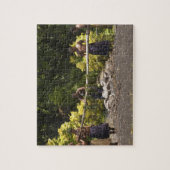 Feuerläufer, Polynesisches Kulturzentrum, Viti Puzzle (Vertikal)