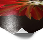 Feuerlicht überall fotodruck (Ecke)