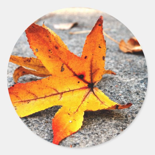 Feuerlöscher Runder Aufkleber (Vorderseite)