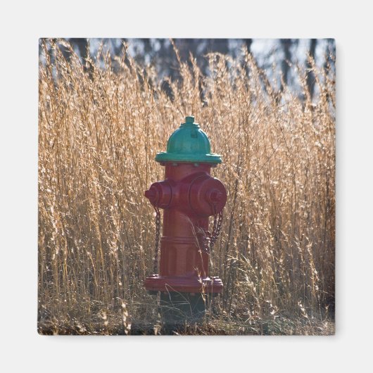 Feuerlöschmittel Magnet (Vorne)