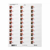 Feuerlöschschlauch, -eimer und -nebel (Vorne)