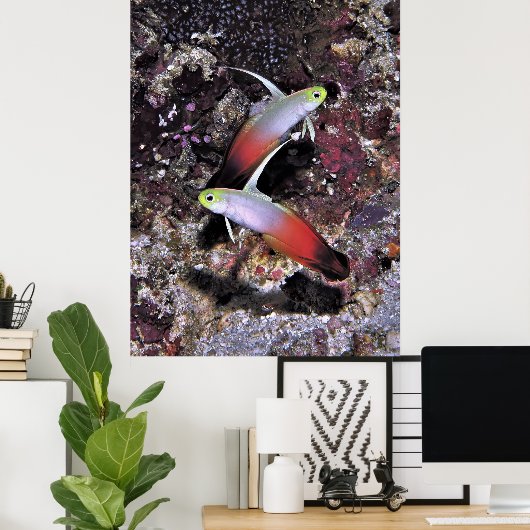 Feuerparade Poster (Heimbüro)