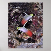 Feuerparade Poster (Vorne)