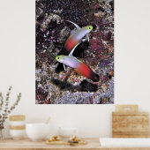 Feuerparade Poster (Küche)