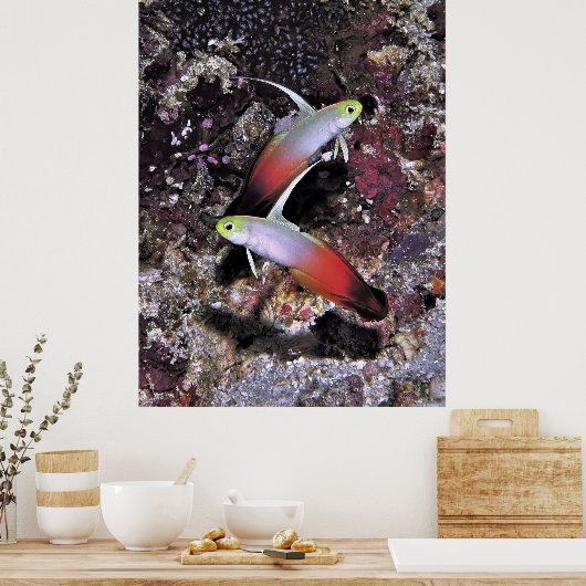 Feuerparade Poster (Küche)