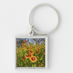 Feuerräder Gaillardia pulchella) Wildblumen Schlüsselanhänger