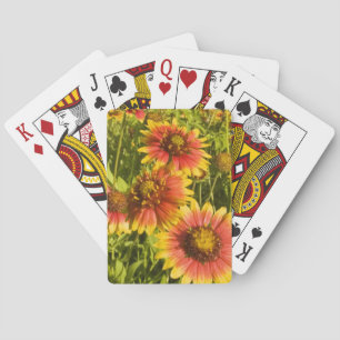 Feuerräder Gaillardia pulchella) Wildblumen Spielkarten